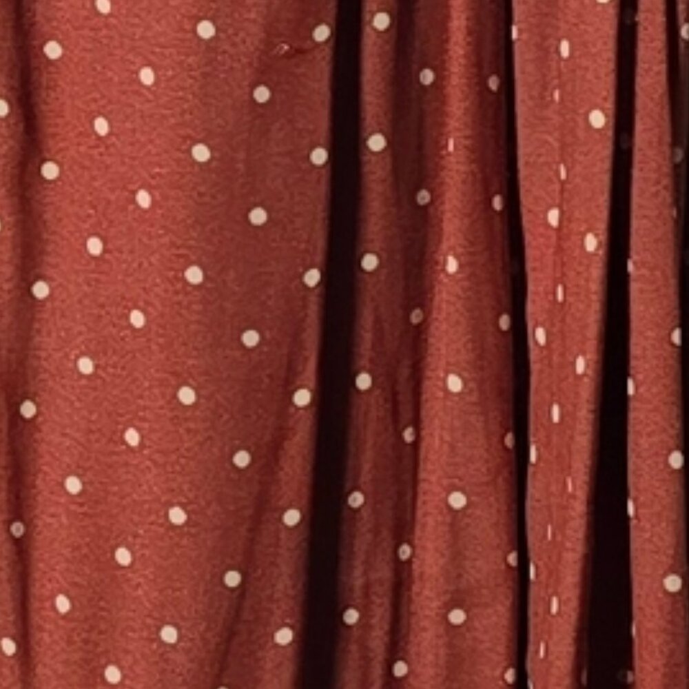 Free People Rust Polka Dot Blouse Small Romantic Boho Ruffle Button Top - Picture 7 of 11